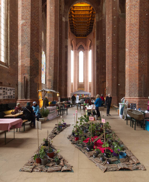 6C51A6EF-47C9-4AE8-988B-BA2E14710660